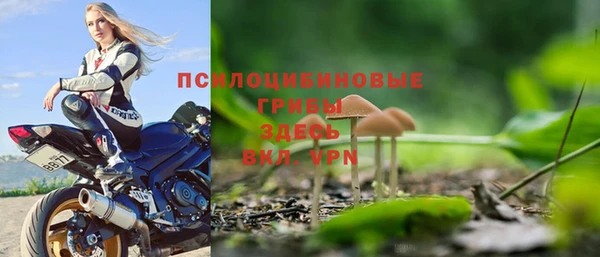 mdpv Володарск