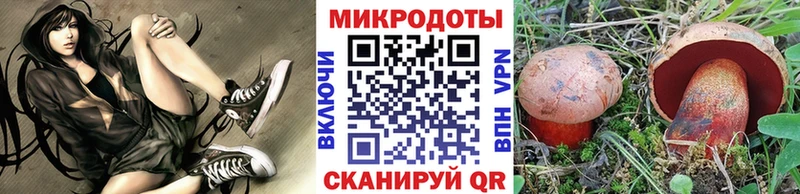 Псилоцибиновые грибы мухоморы  цена наркотик  Поворино 